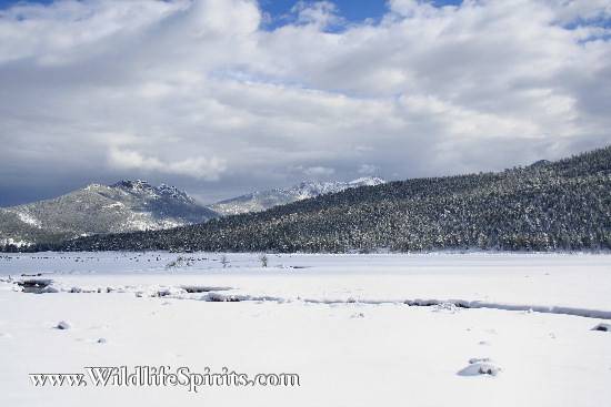 Click Picture to send as an  E-PostCard 55k 550x367